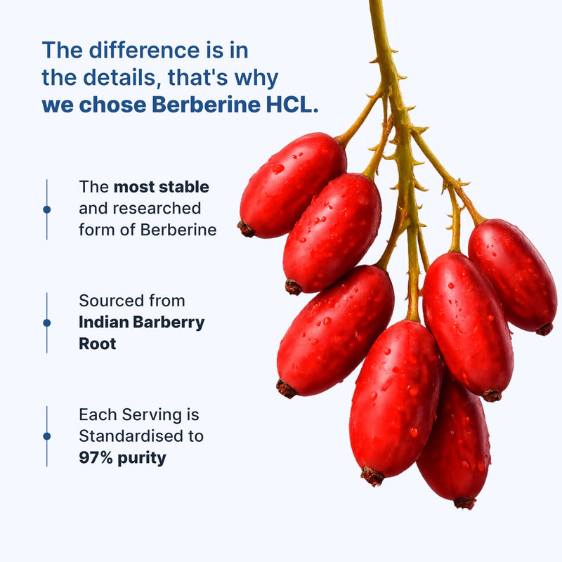 LIPOSOMAL BERBERINE HCL 97%