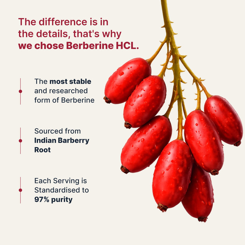 LIPOSOMAL BERBERINE HCl 97%